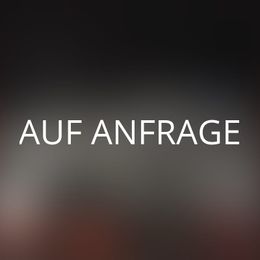 Linde L14API - % Preisnachlass